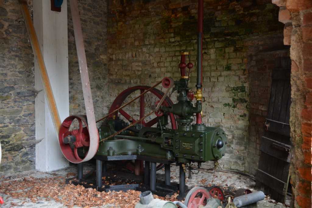 DSC_5557Mittel_.JPG